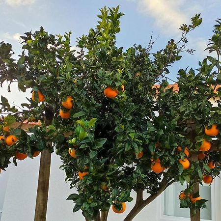 Perto Do Mar, Alojamento Local Gafanha da Boa Hora Dış mekan fotoğraf